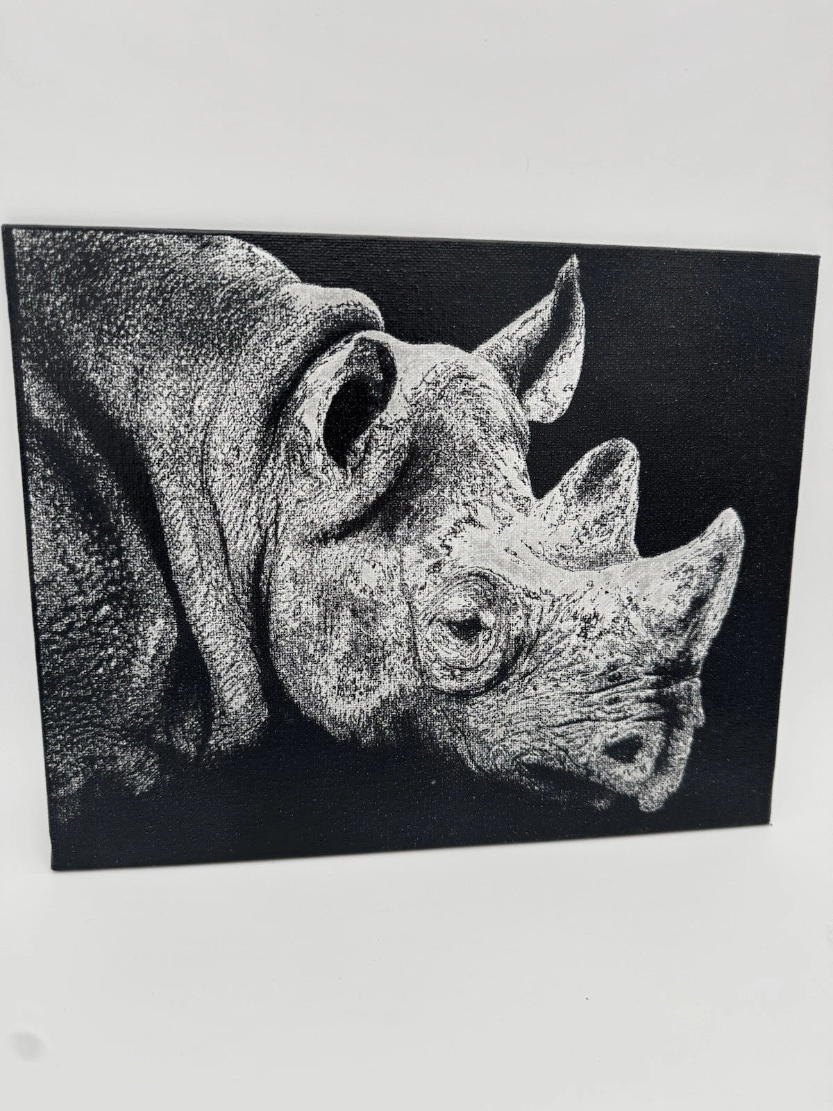 White Rhino - Oil On Canvas 8x10 Original Artwork