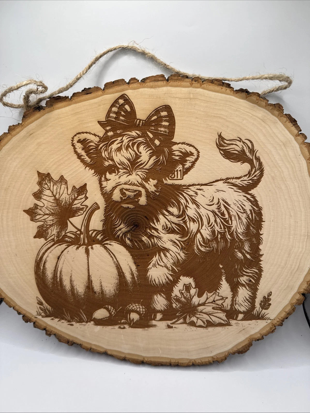 Cute Highland Cow Calf Rustic Live Edge Wood Wall Sign Fall Decor