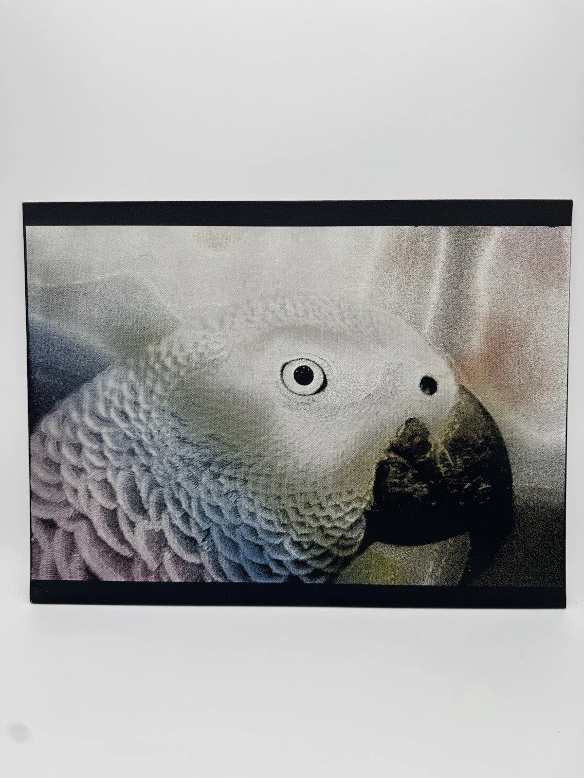 Parrot  - Oil On Canvas 16x12 Original Artwork