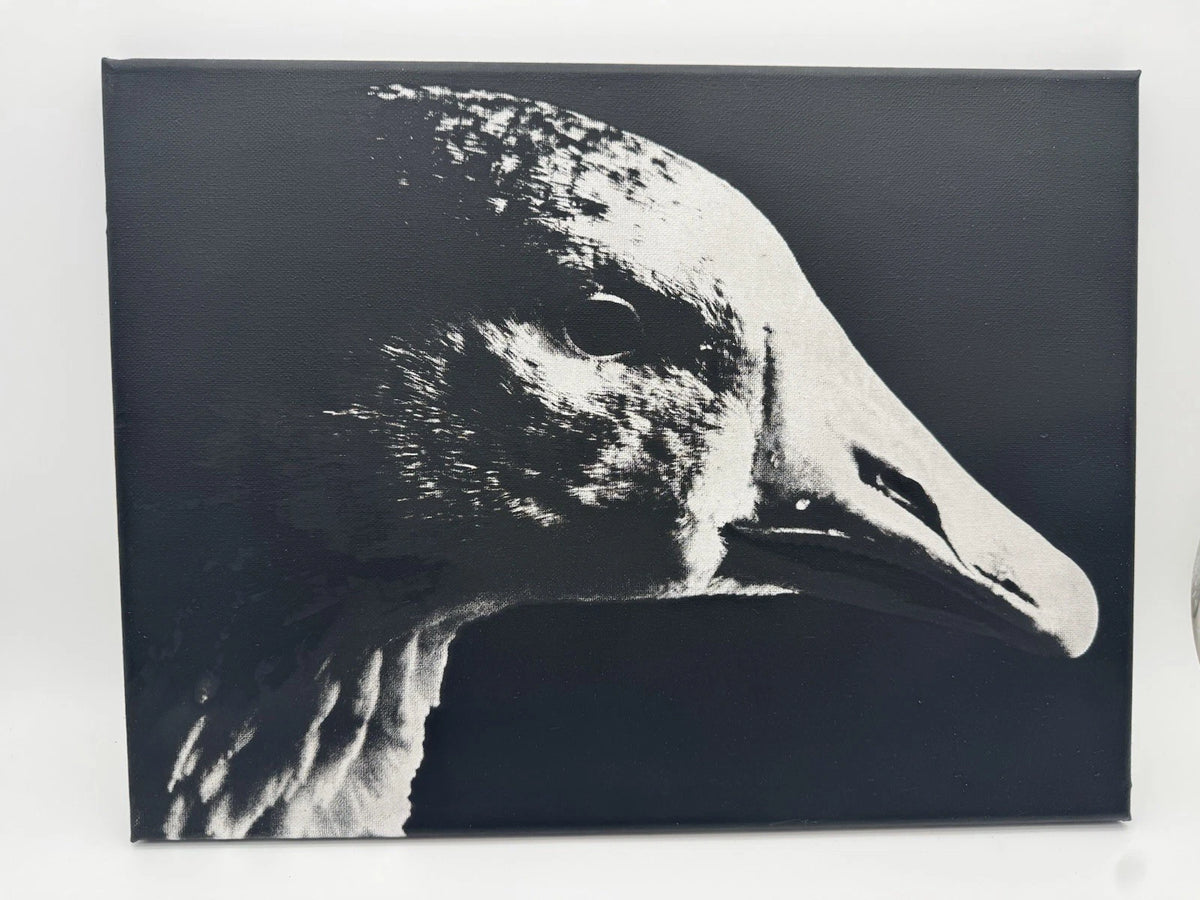 White Goose - Oil On Canvas 16x12 Original Artwork