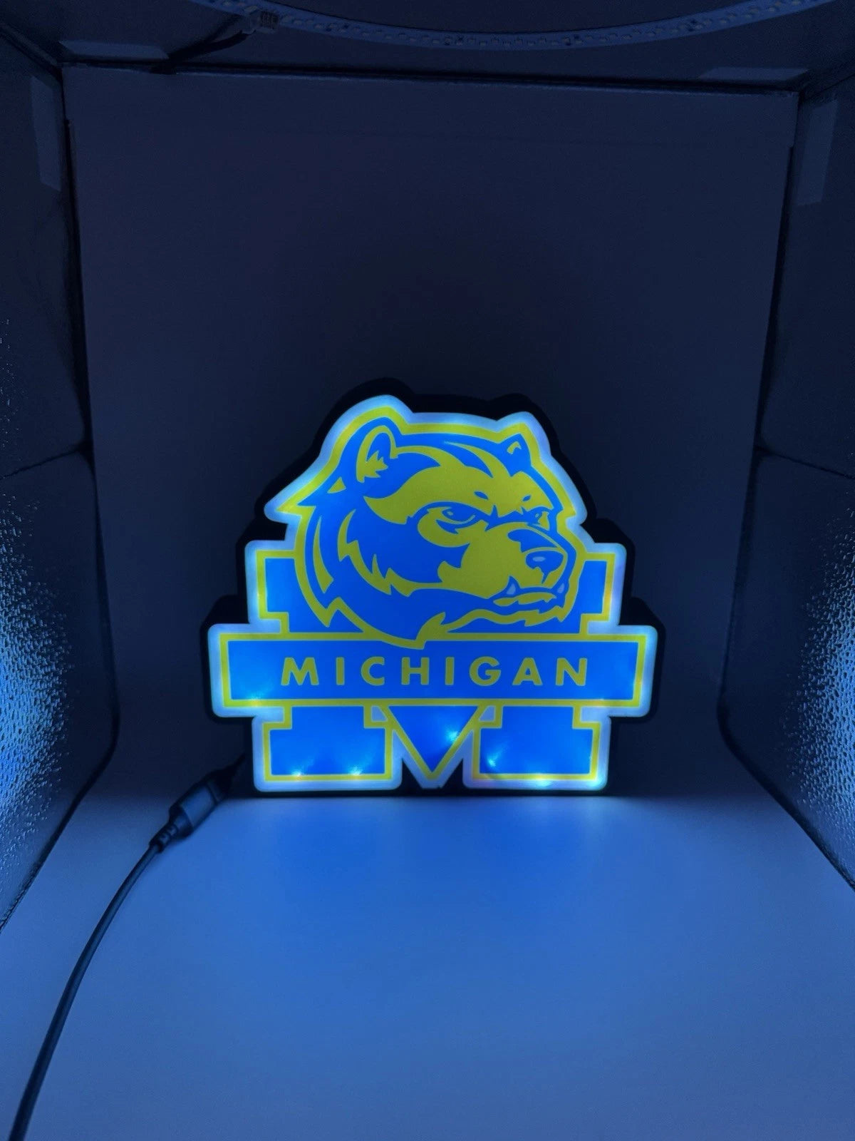 University Of Michigan Wolverines - Light Up LED Sign