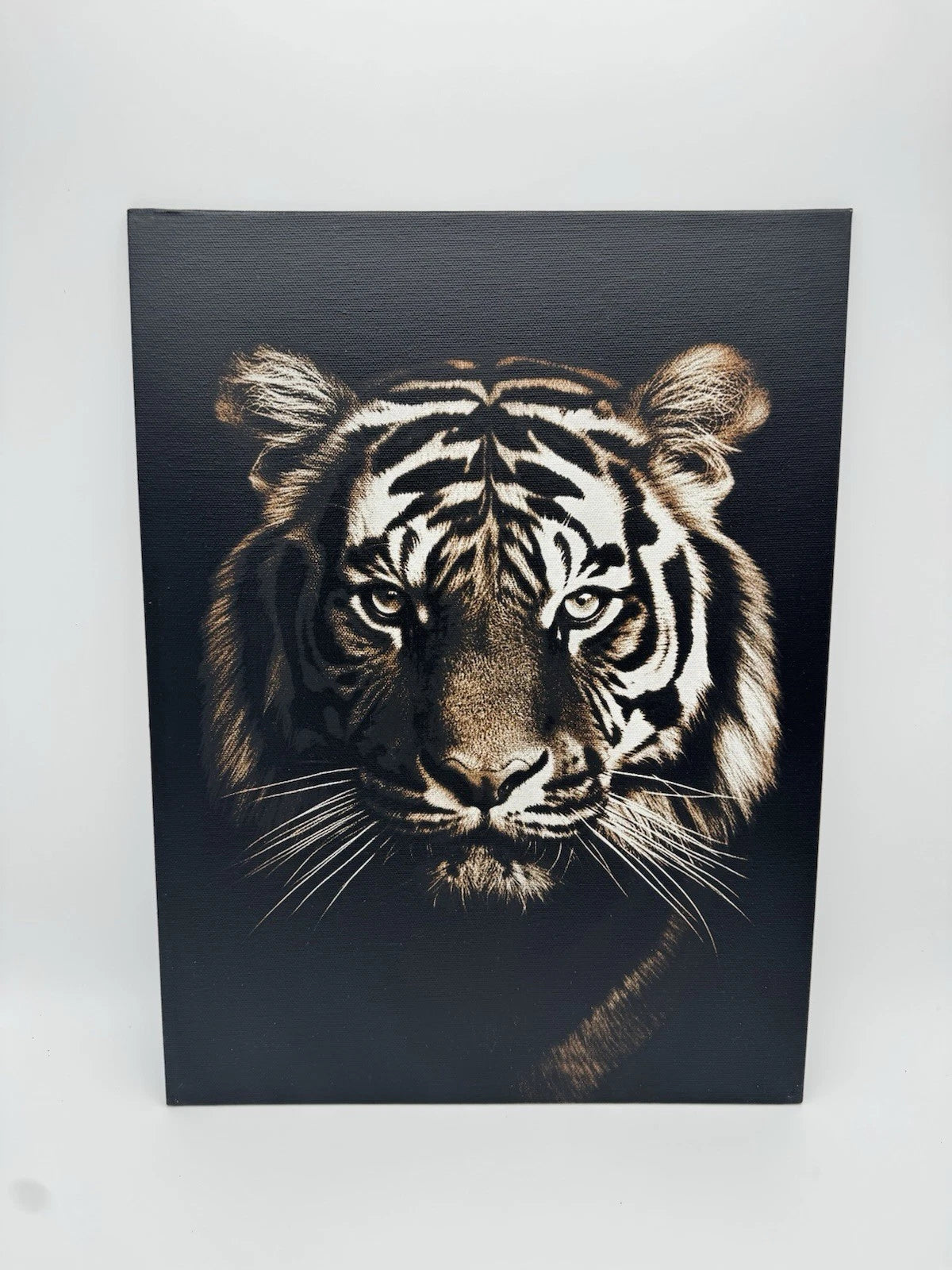 Bengal Tiger - Oil On Canvas 16x12