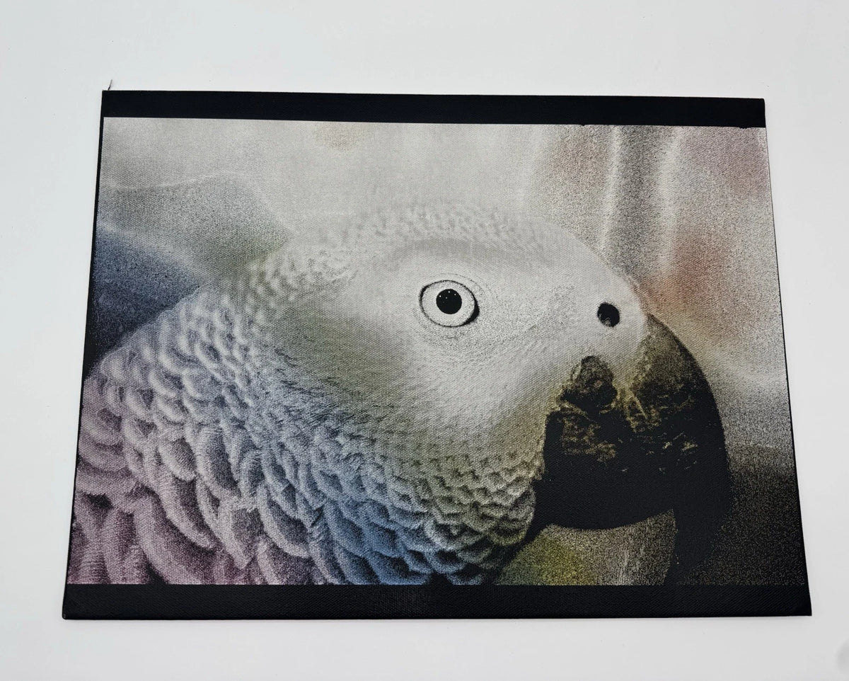 Parrot  - Oil On Canvas 16x12 Original Artwork