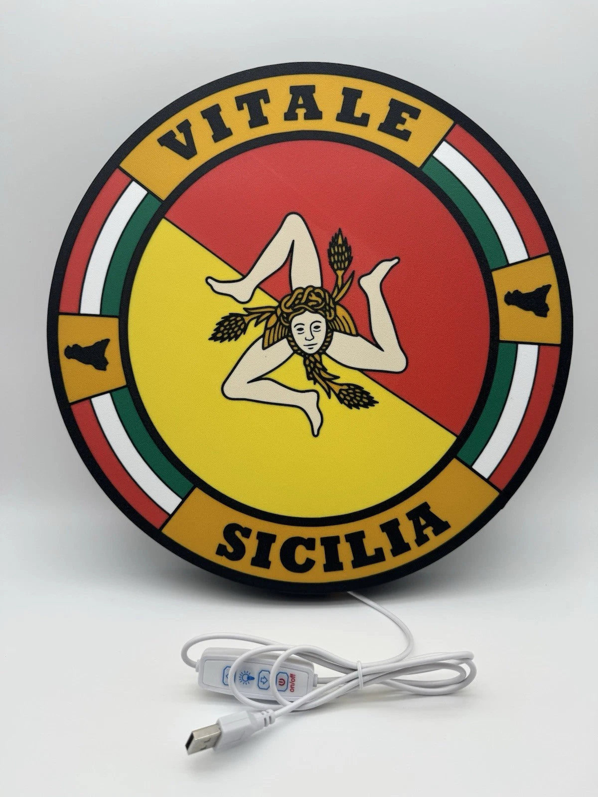 Custom 13” Sicily Italy Last Name Light Up LED Sign With USB Power