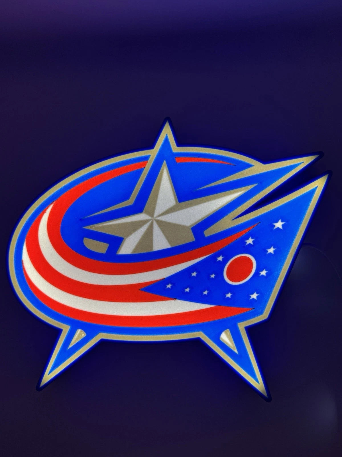 Columbus Blue Jackets NHL Hockey - Light Up LED Neon Sign With USB