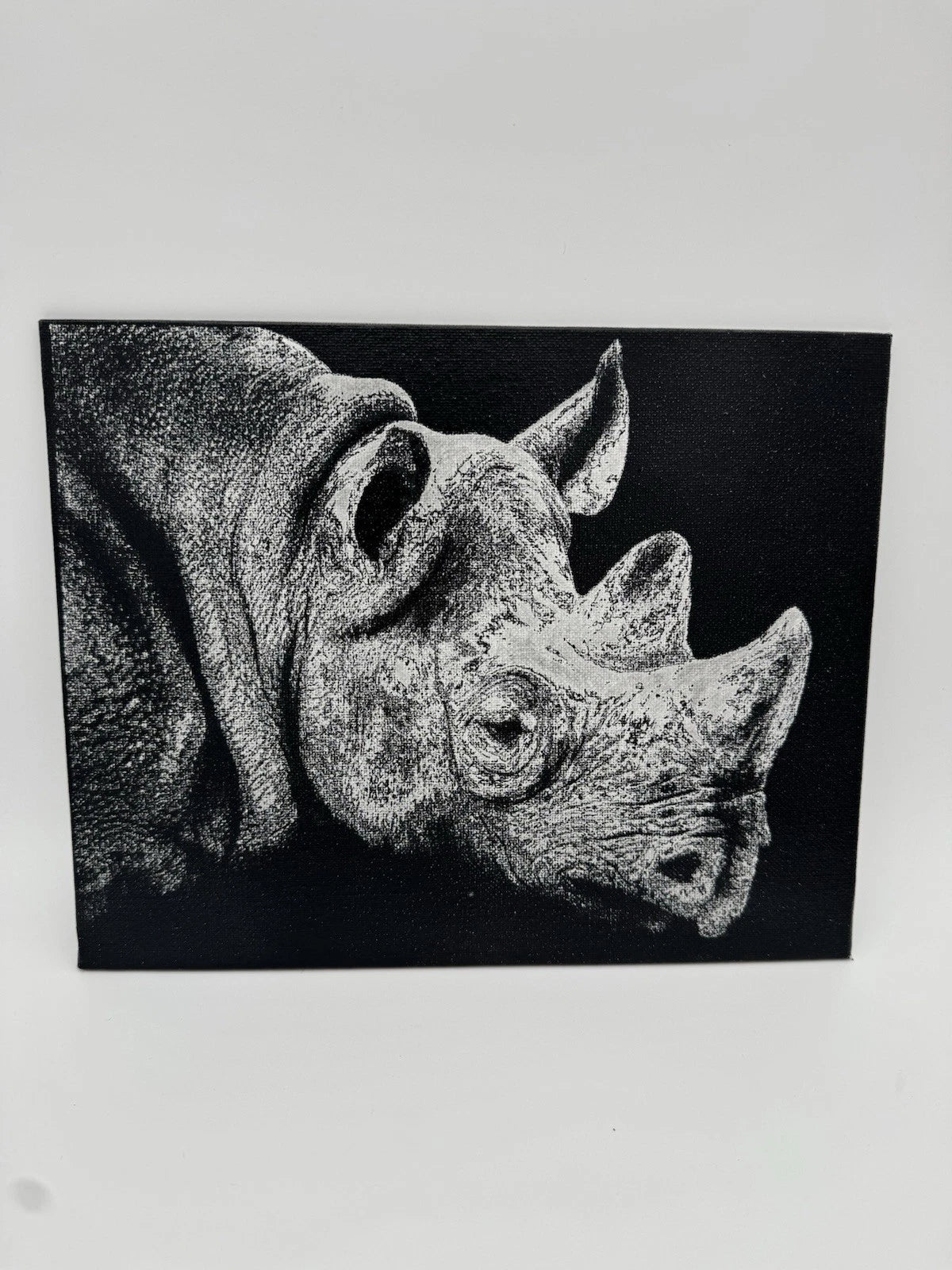 White Rhino - Oil On Canvas 8x10 Original Artwork