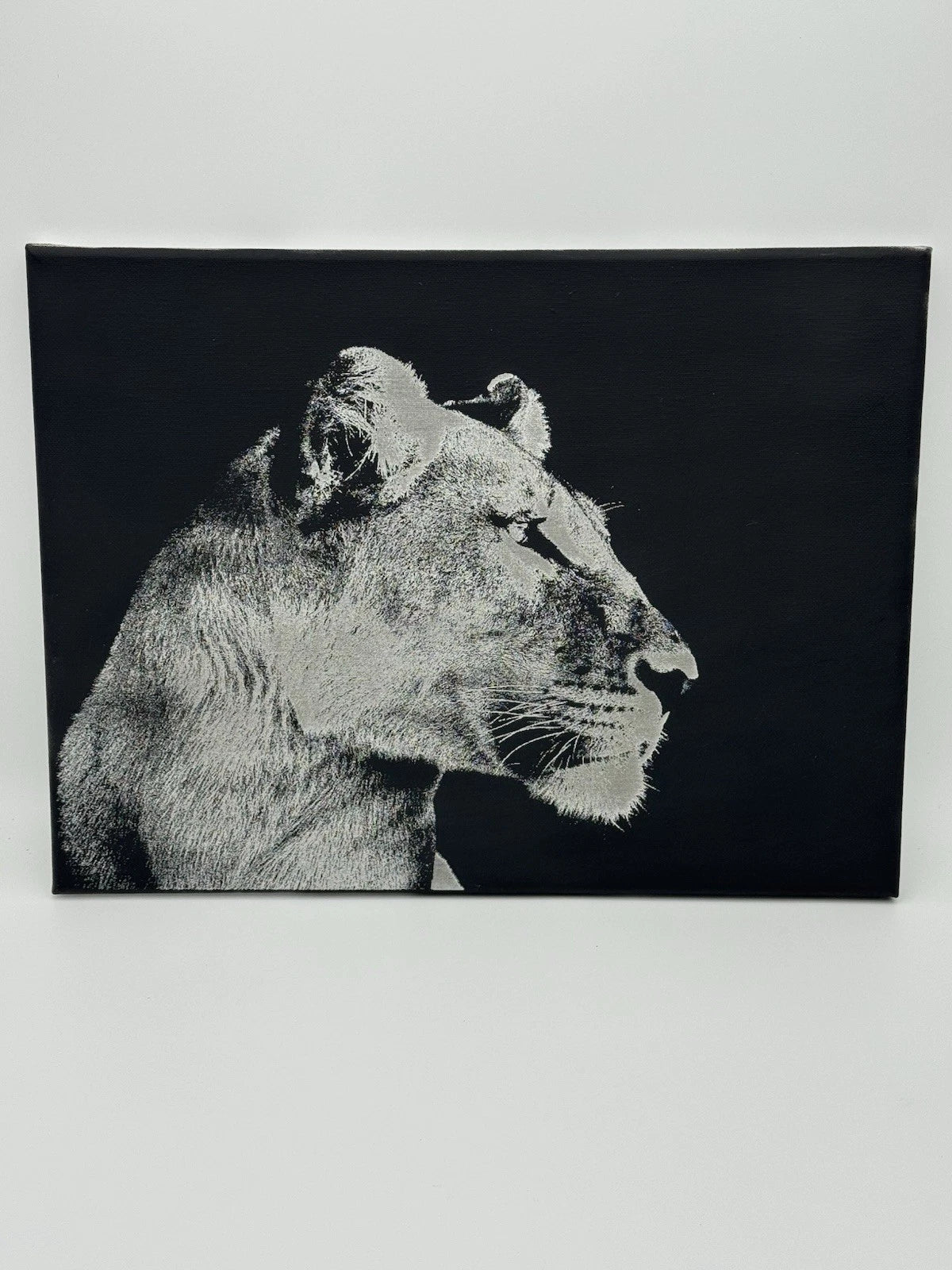 Female Lion - Oil On Canvas 16x12 Original Painting On Canvas Wildlife Art