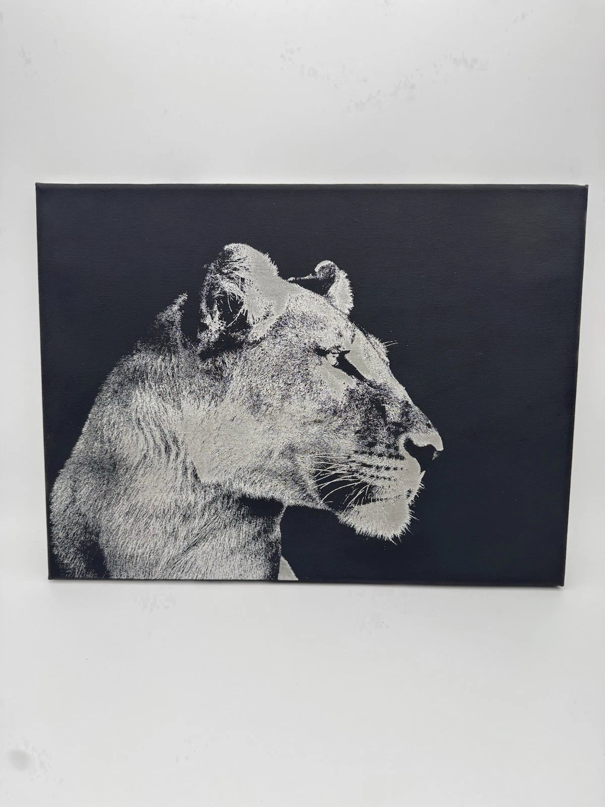 Female Lion - Oil On Canvas 16x12 Original Painting On Canvas Wildlife Art