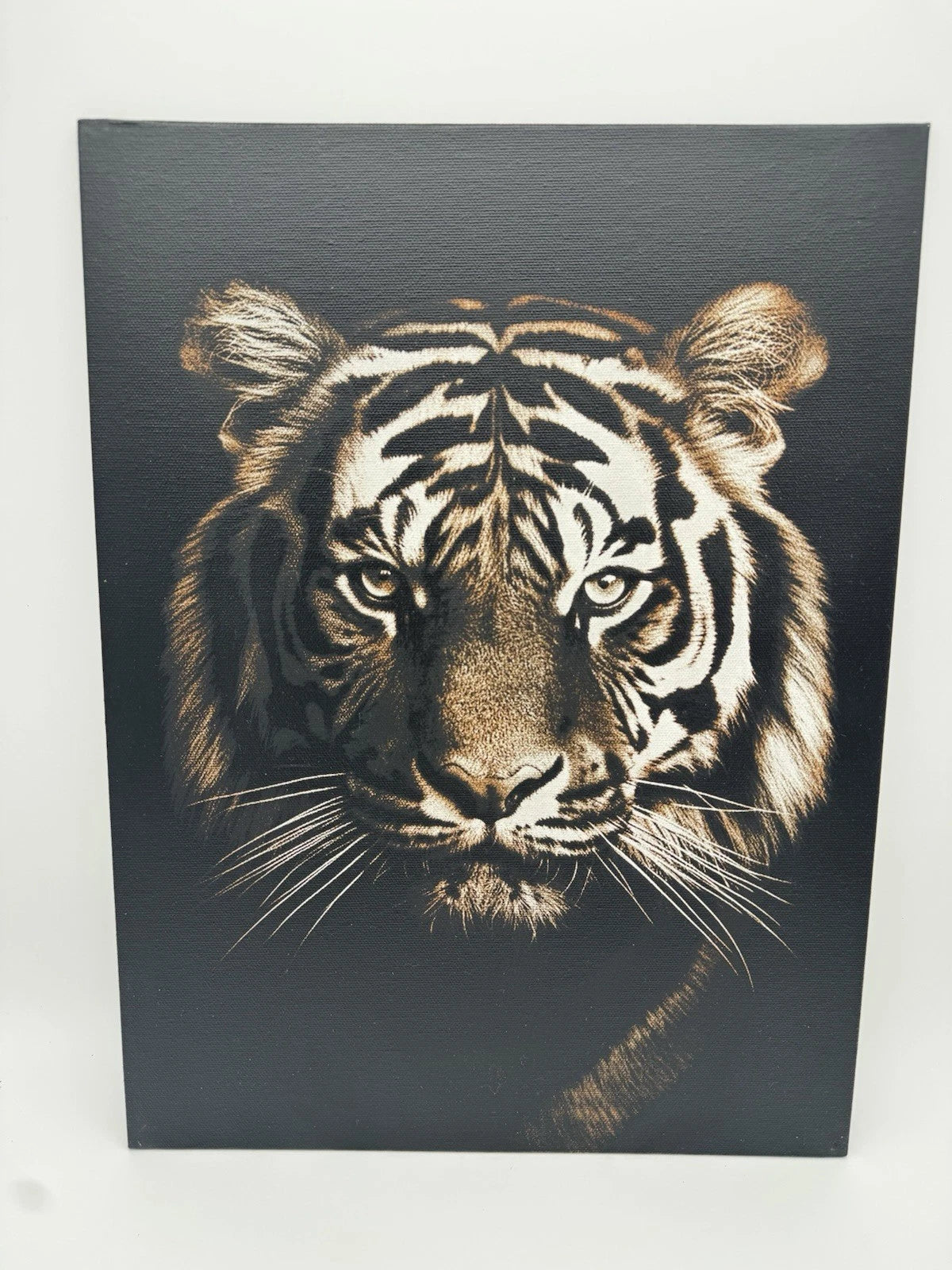 Bengal Tiger - Oil On Canvas 16x12