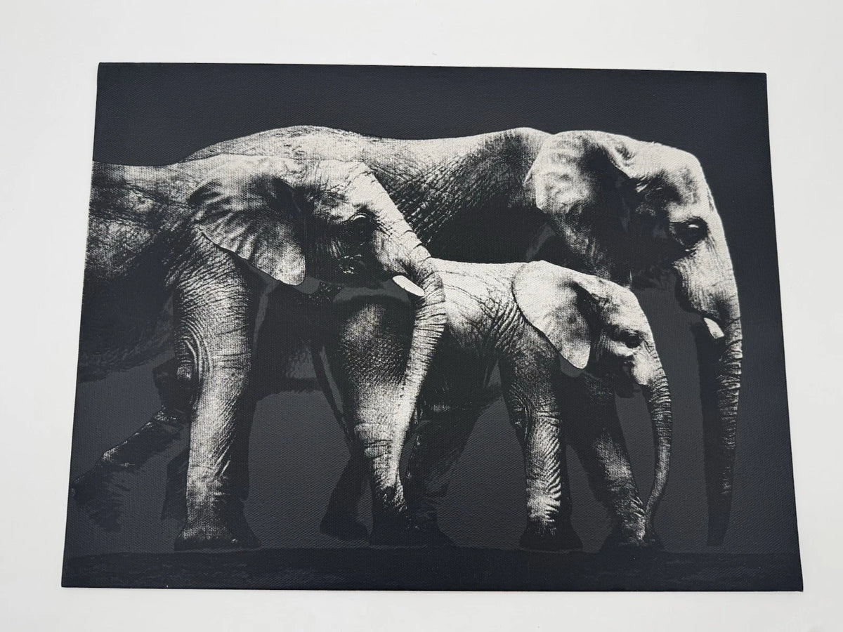 Elephant Family - Oil On Canvas 16x12 Original Artwork