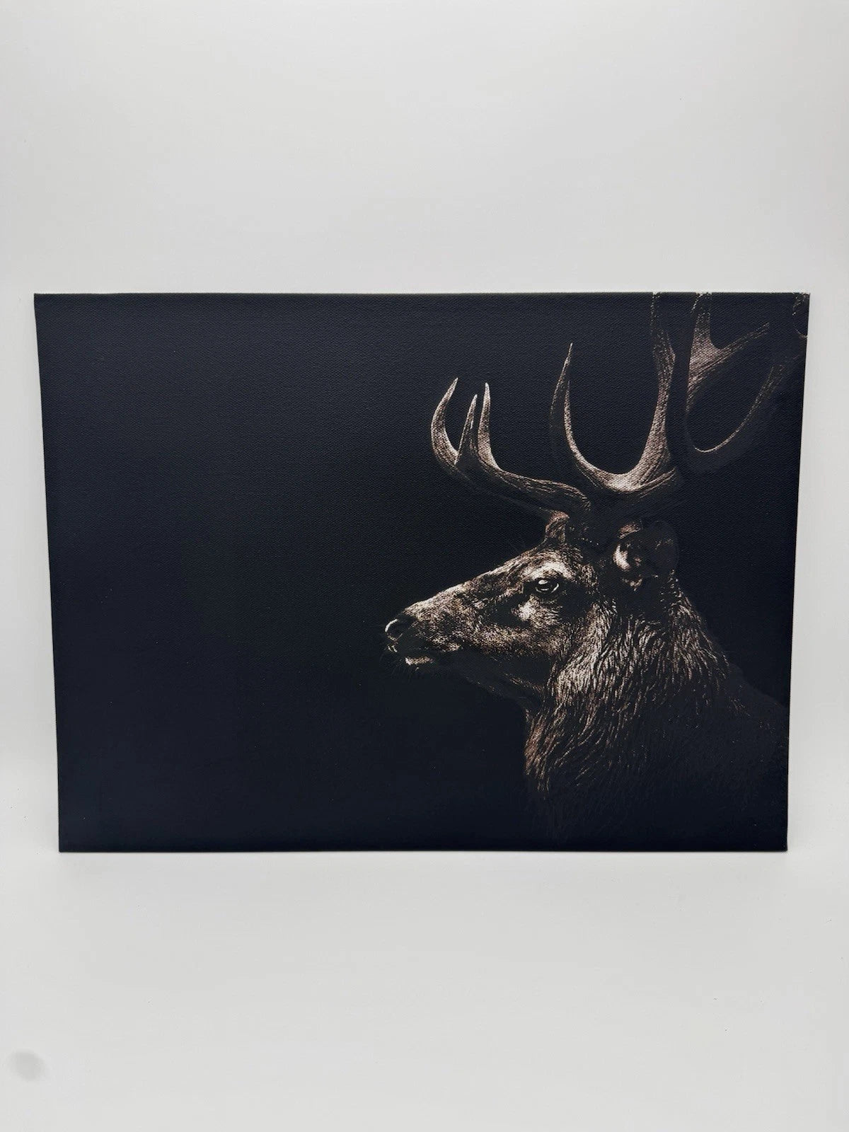Red Stag - Oil On Canvas 16x12 Original Art