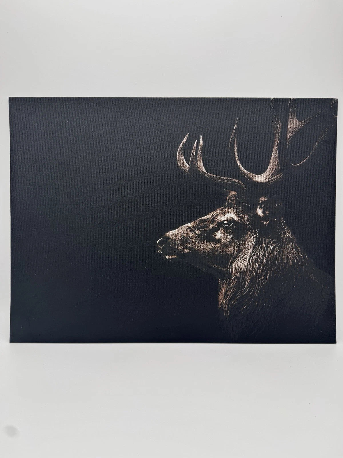 Red Stag - Oil On Canvas 16x12 Original Art