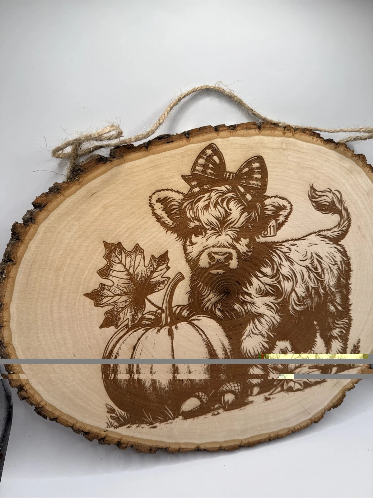 Cute Highland Cow Calf  Rustic Live Edge Wood Wall Sign Fall  Decor