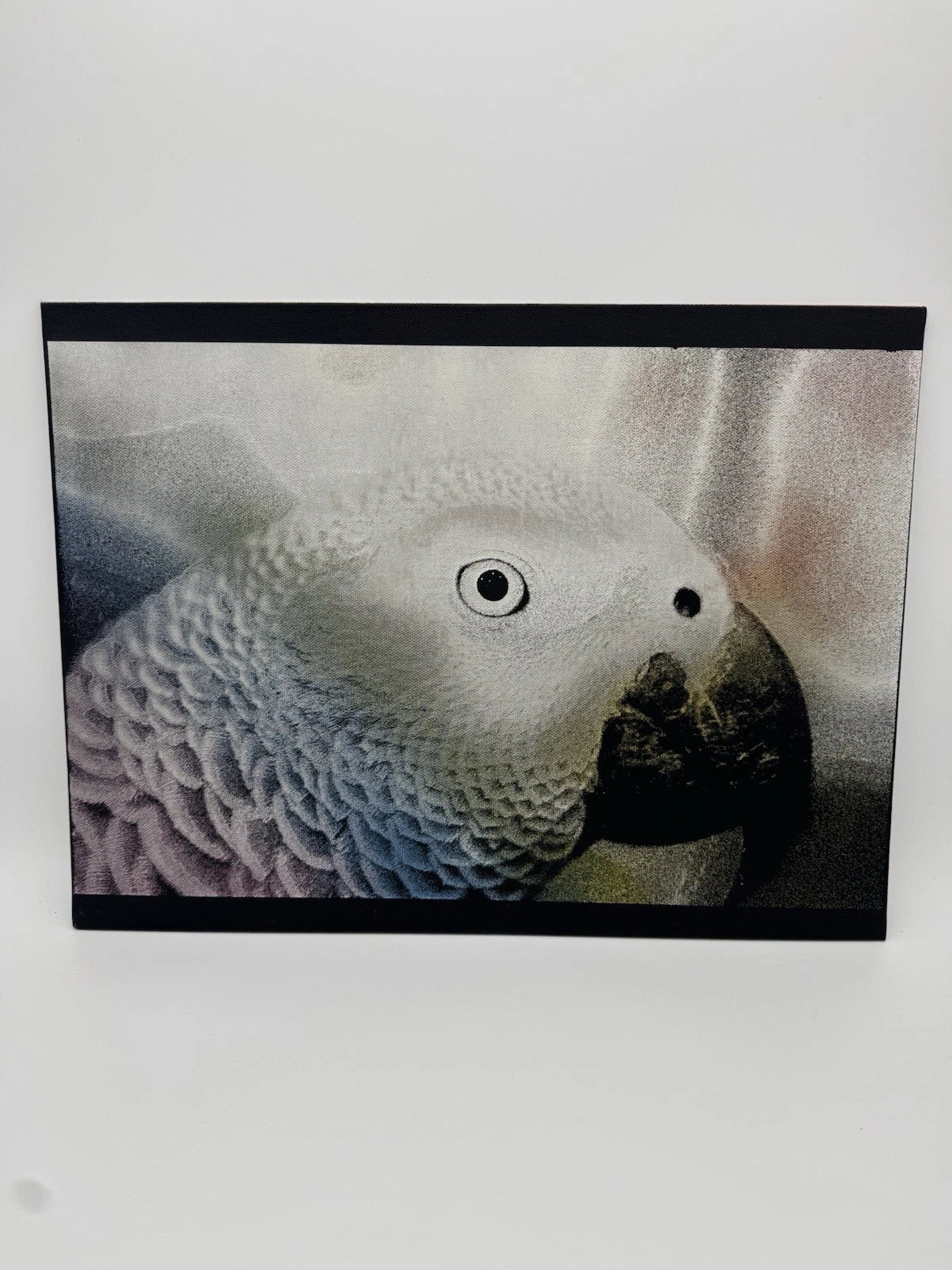 Parrot  - Oil On Canvas 16x12 Original Artwork