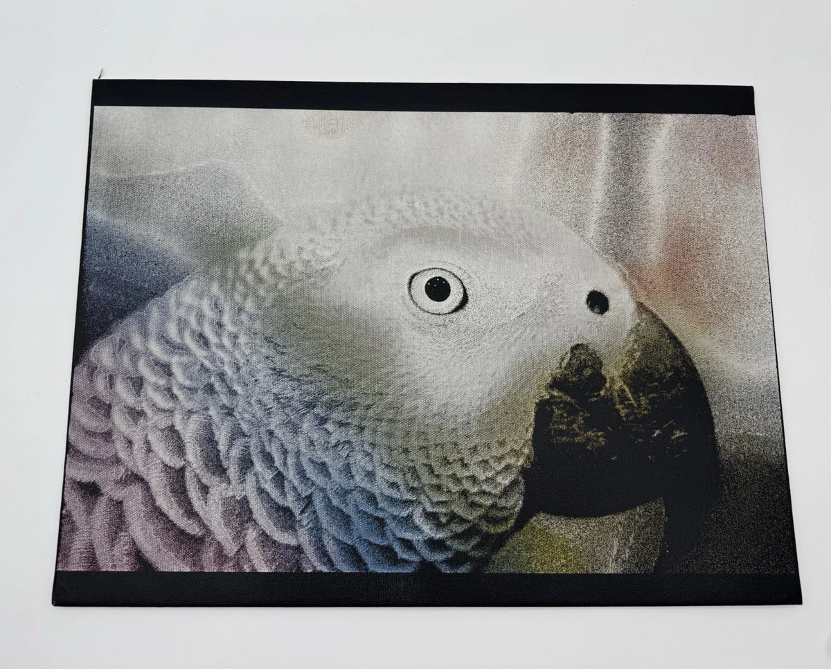 Parrot  - Oil On Canvas 16x12 Original Artwork