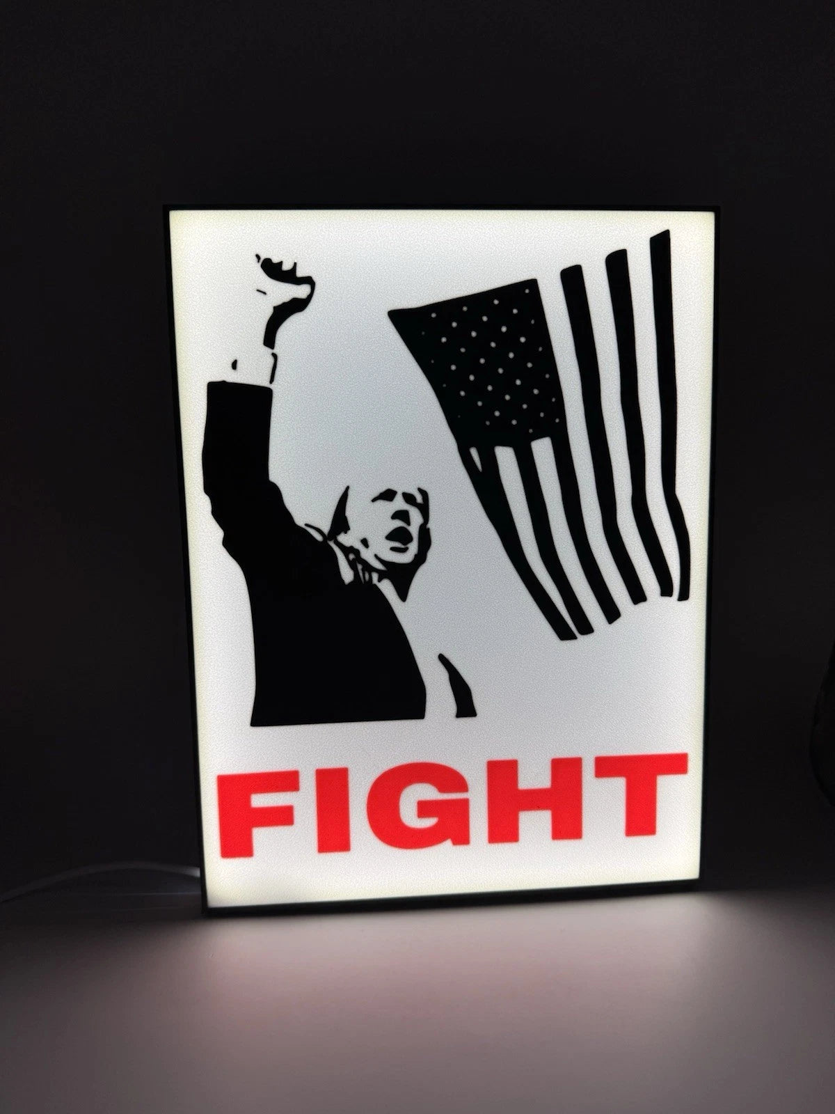 Donald Trump FIGHT - Light Up LED Sign