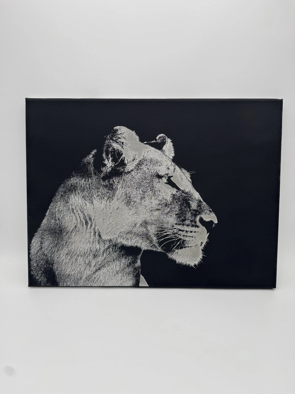 Female Lion - Oil On Canvas 16x12 Original Painting On Canvas Wildlife Art