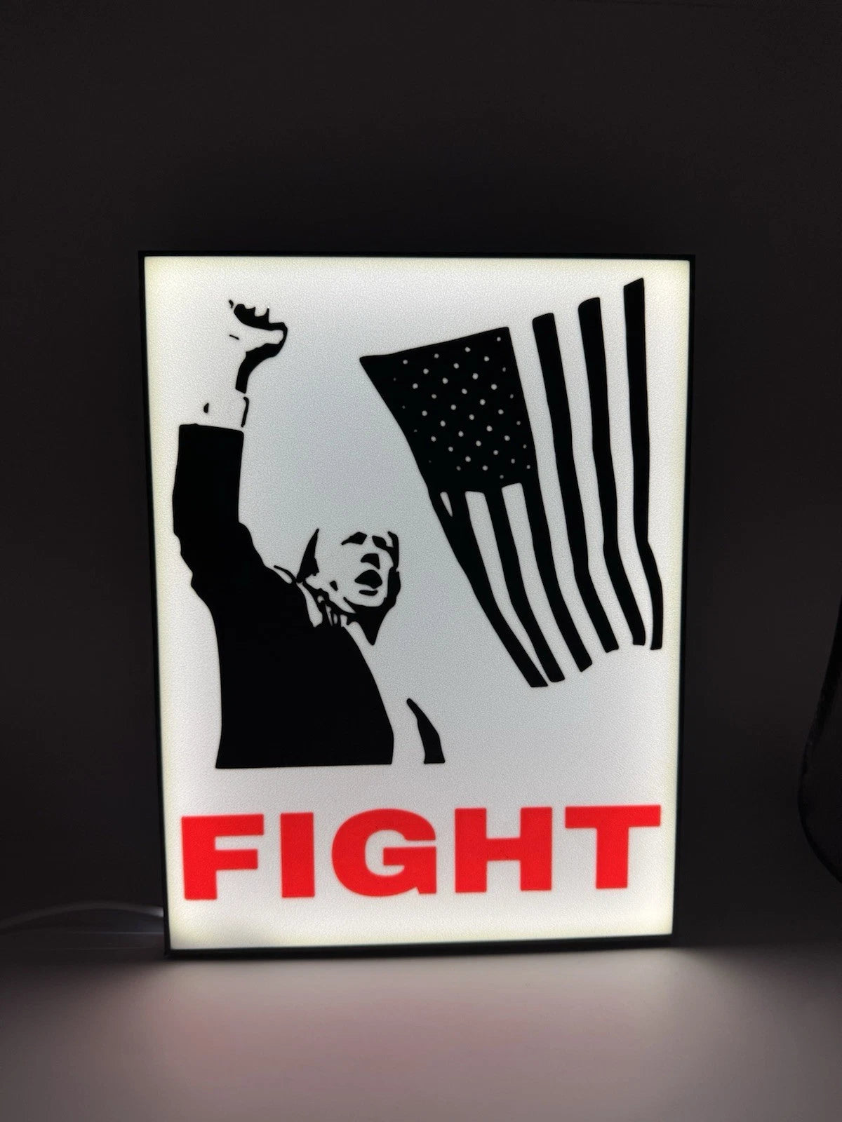 Donald Trump FIGHT - Light Up LED Sign