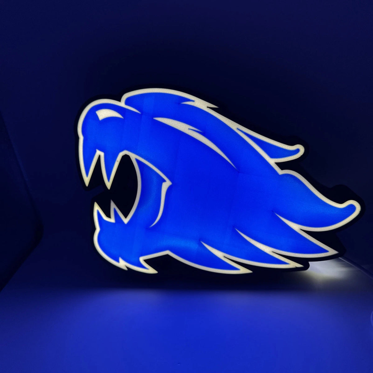 Kentucky Wildcats UK University - Light Up LED Sign With USB Powered Cord