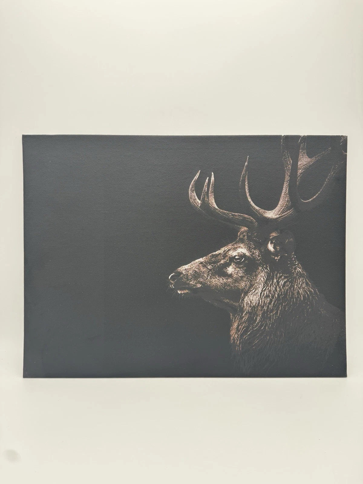 Red Stag - Oil On Canvas 16x12 Original Art