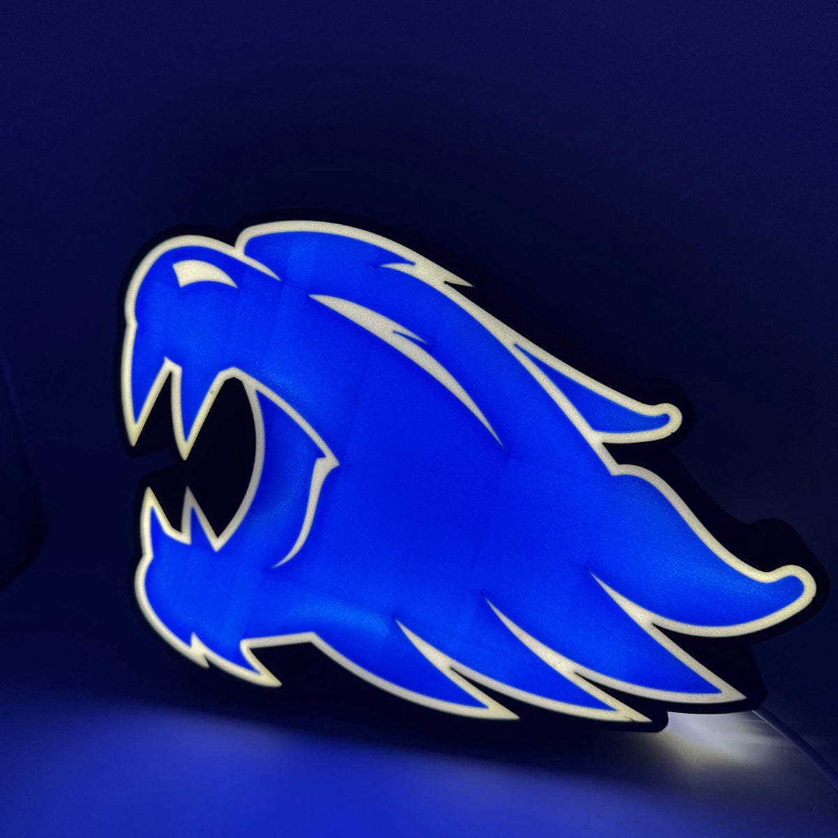 Kentucky Wildcats UK University - Light Up LED Sign With USB Powered Cord