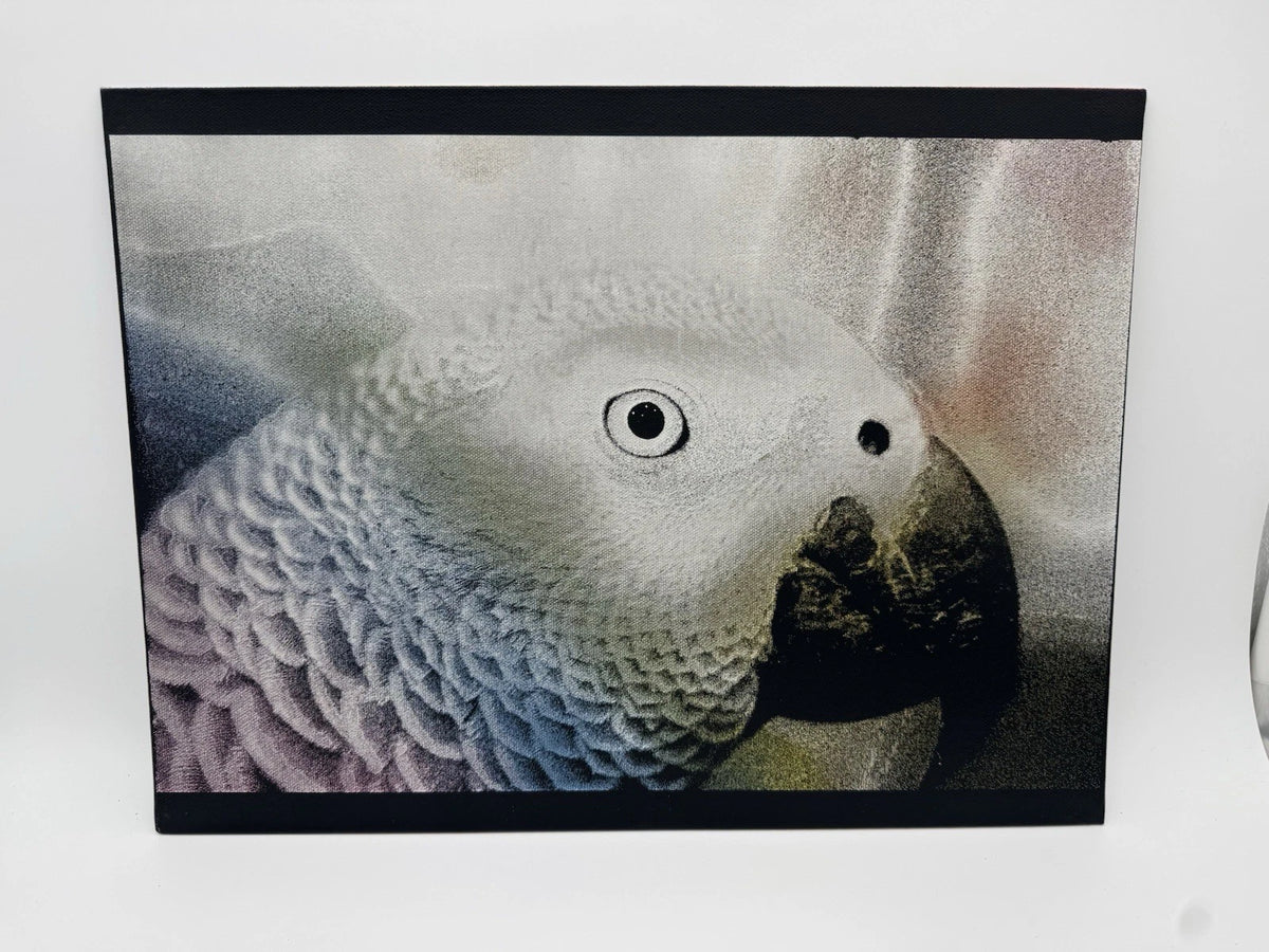 Parrot  - Oil On Canvas 16x12 Original Artwork