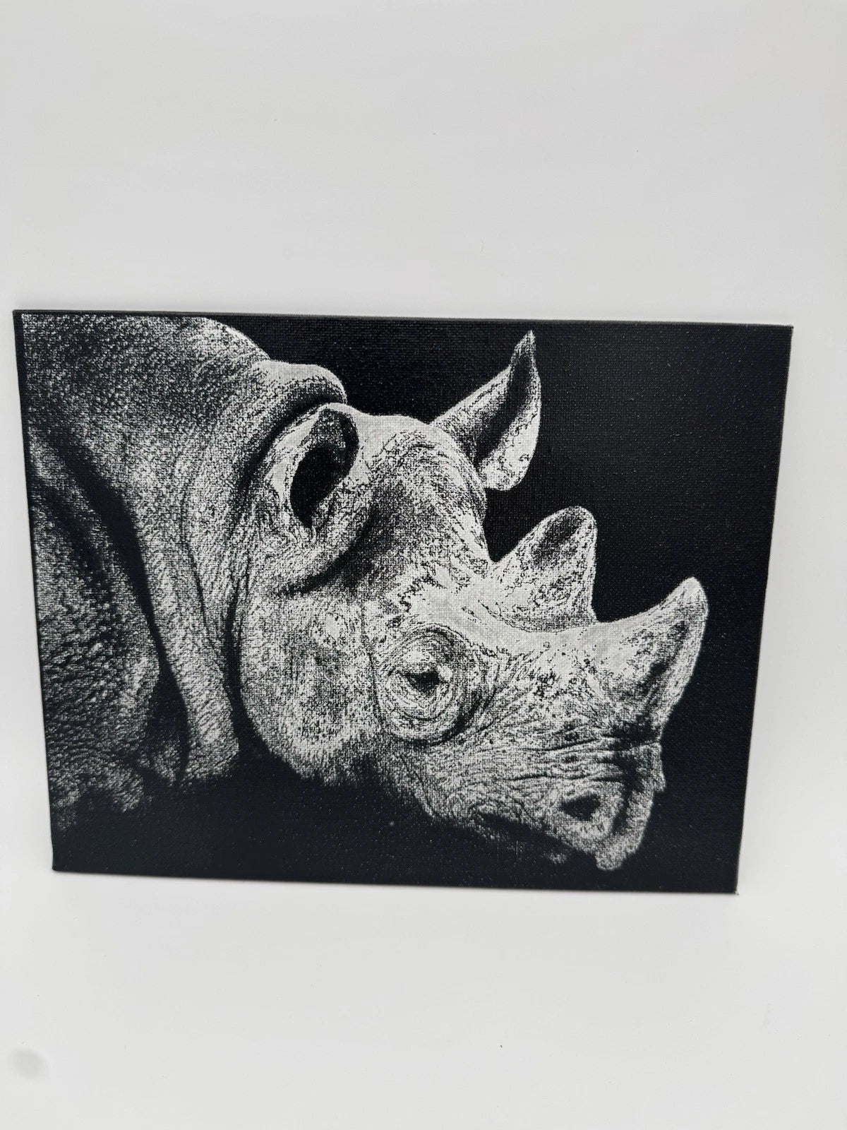 White Rhino - Oil On Canvas 8x10 Original Artwork
