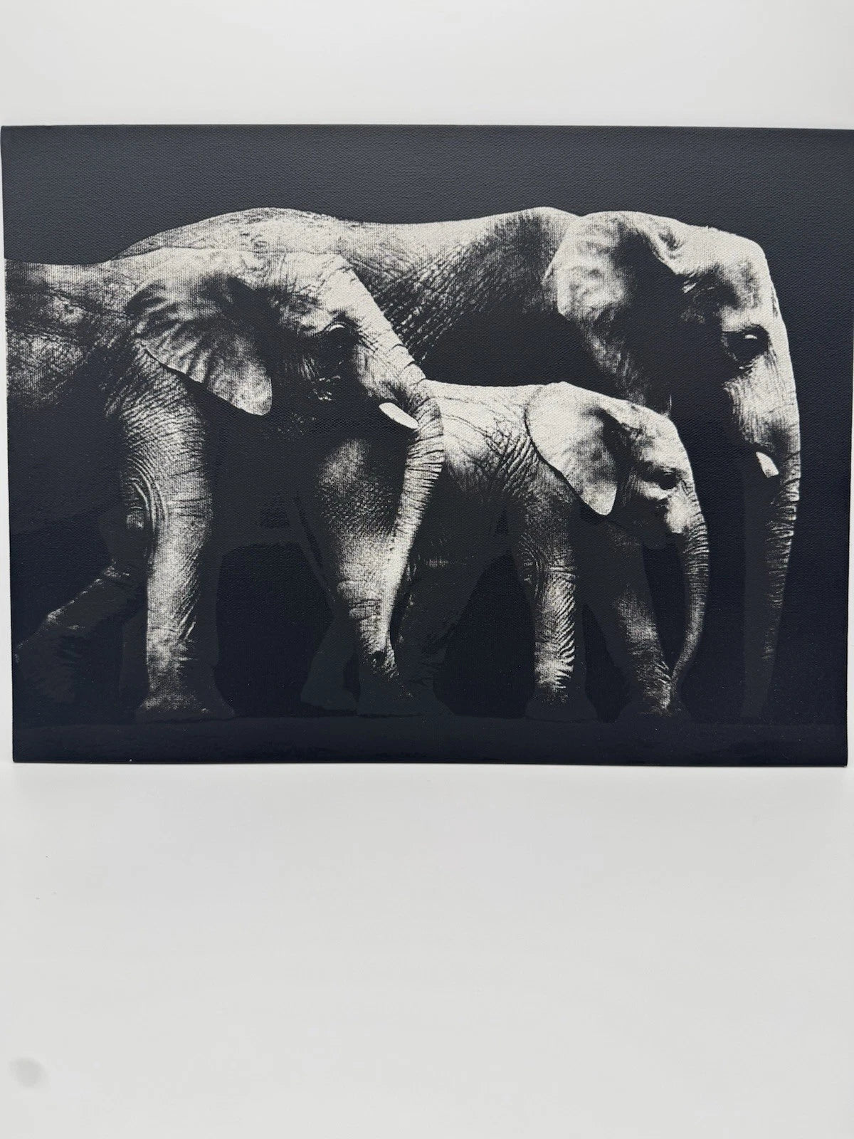 Elephant Family - Oil On Canvas 16x12 Original Artwork