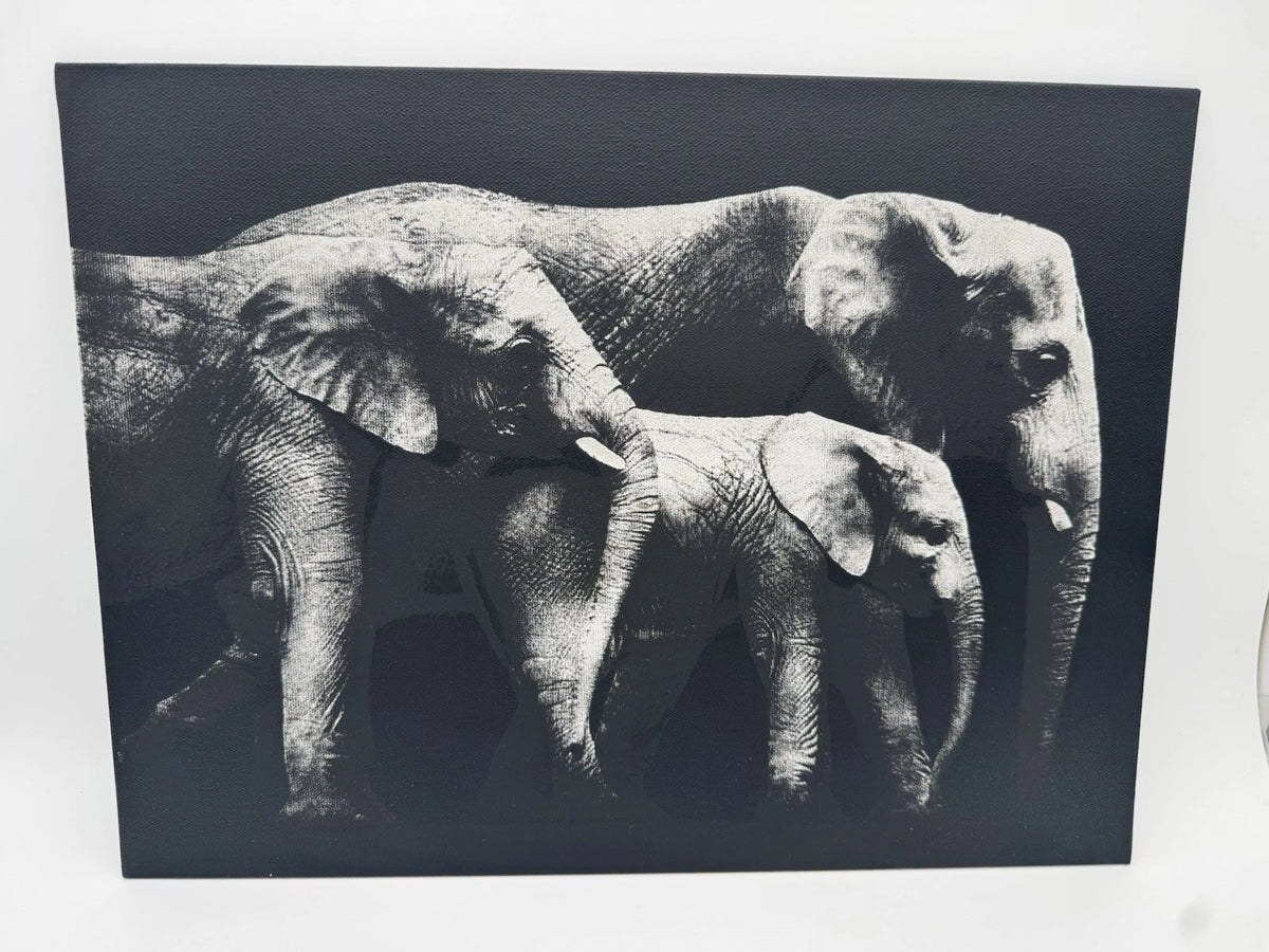 Elephant Family - Oil On Canvas 16x12 Original Artwork
