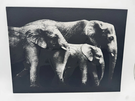 Elephant Family - Oil On Canvas 16x12 Original Artwork