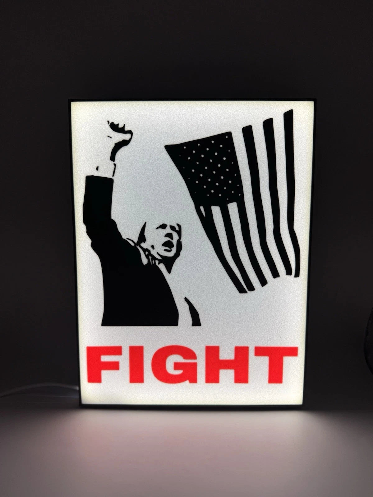 Donald Trump FIGHT - Light Up LED Sign