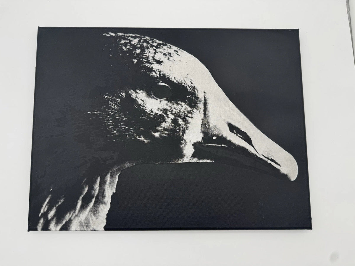 White Goose - Oil On Canvas 16x12 Original Artwork