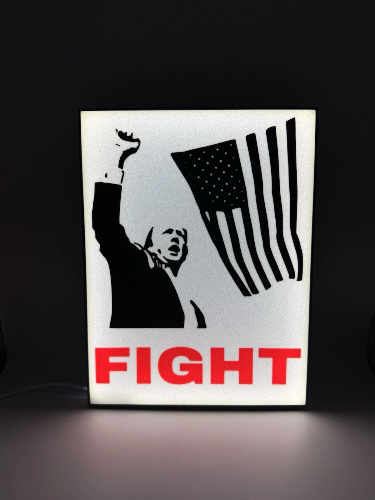 Donald Trump FIGHT - Light Up LED Sign
