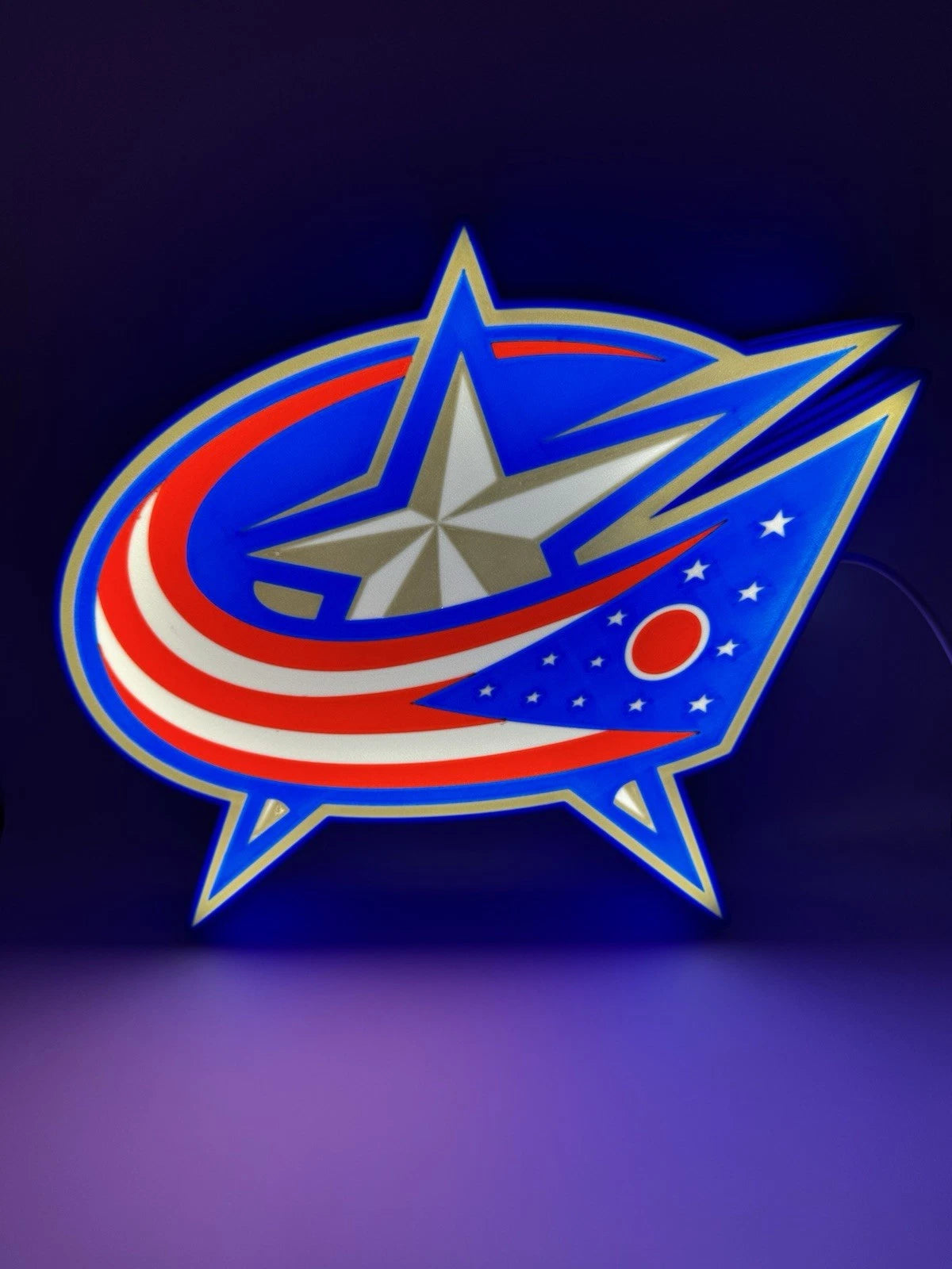 Columbus Blue Jackets NHL Hockey - Light Up LED Neon Sign With USB
