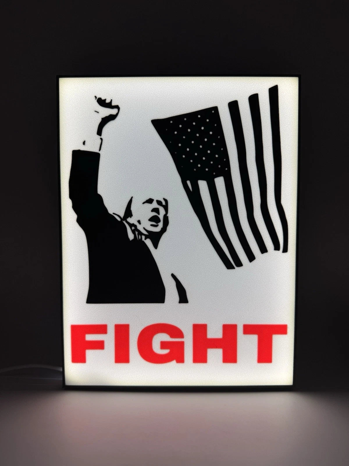 Donald Trump FIGHT - Light Up LED Sign