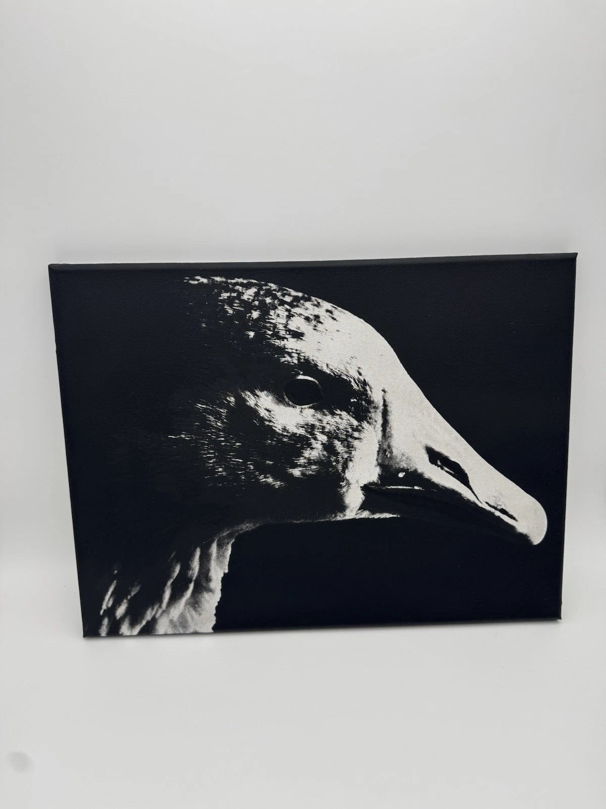White Goose - Oil On Canvas 16x12 Original Artwork