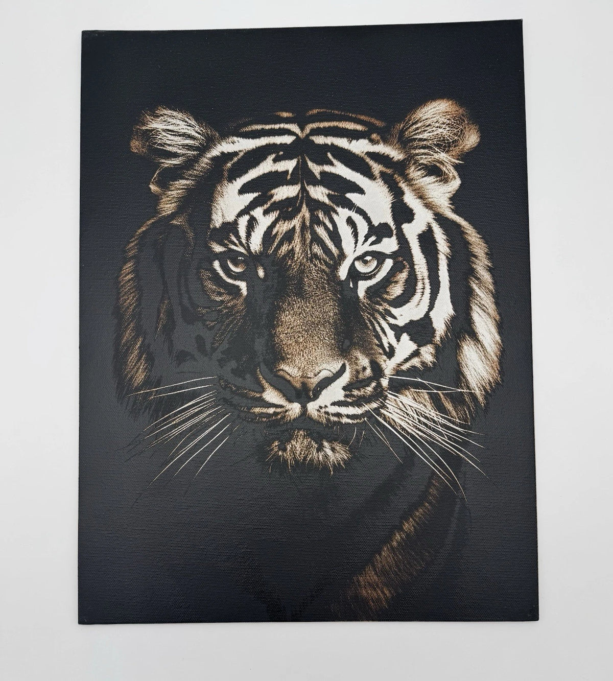 Bengal Tiger - Oil On Canvas 16x12